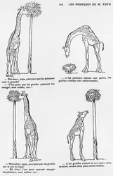 ”Les pourquoi de monsieur Toto”, karikatyr av Darwins evolutionsteori, omkring 1900